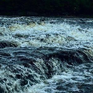 Meet your Posher, Lorena